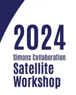 Presentation at 2024 Simons Collaboration Satellite Workshop