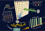 Our paper on RIS diagnostics via STC modulation published in AdFM