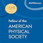 Prof. Galdi elected APS Fellow