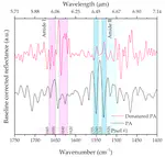 Paper on SEIRA-based monitoring of protein A denaturation published in Biosensors