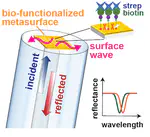 Paper on metasurface lab-on-fiber biosensors published in LPR