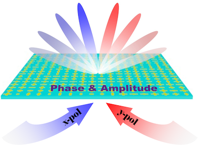 Independent control of copolarized amplitude and phase responses via ...